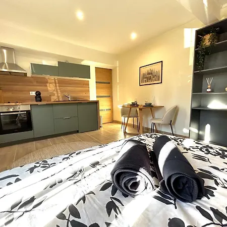 Appartement Airgarden - 1 A 2 Personnes - Canceropole Toulouse