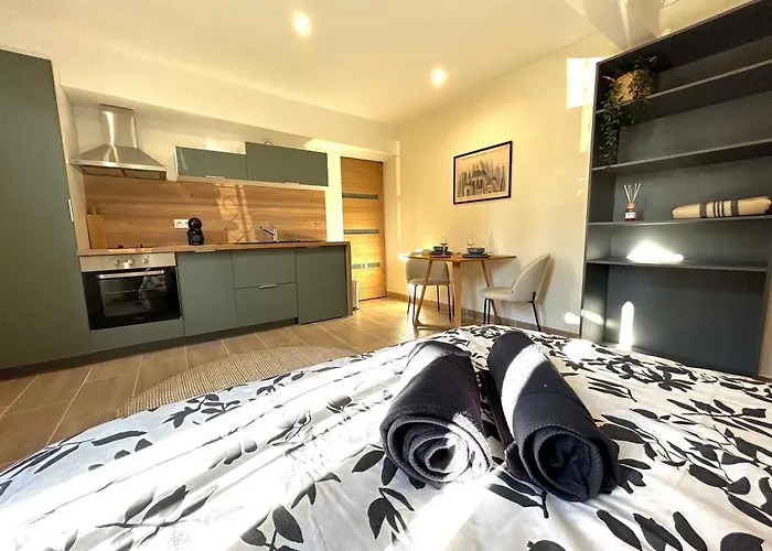 Apartment Proche Canceropole Et Univ Jean Jaures Toulouse