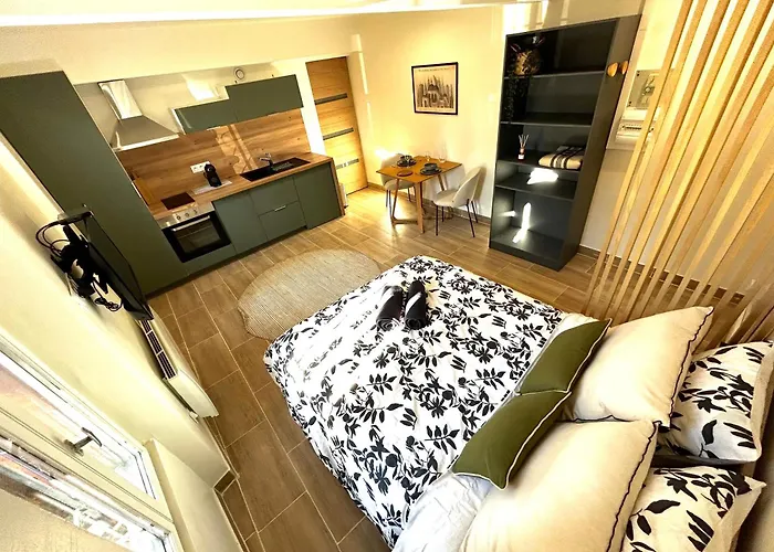 Apartment Proche Canceropole Et Univ Jean Jaures