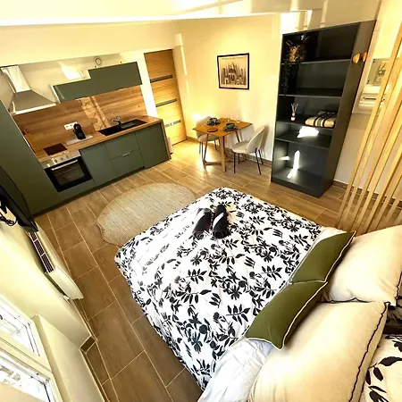 Apartmán Proche Canceropole Et Univ Jean Jaures