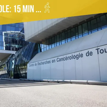 Proche Canceropole Et Univ Jean Jaures Apartment Toulouse